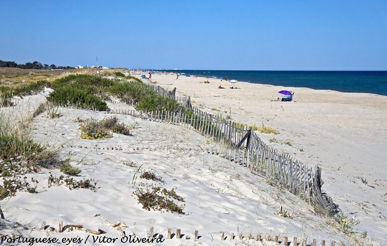 Areal da Ilha de Tavira, na Ria Formosa